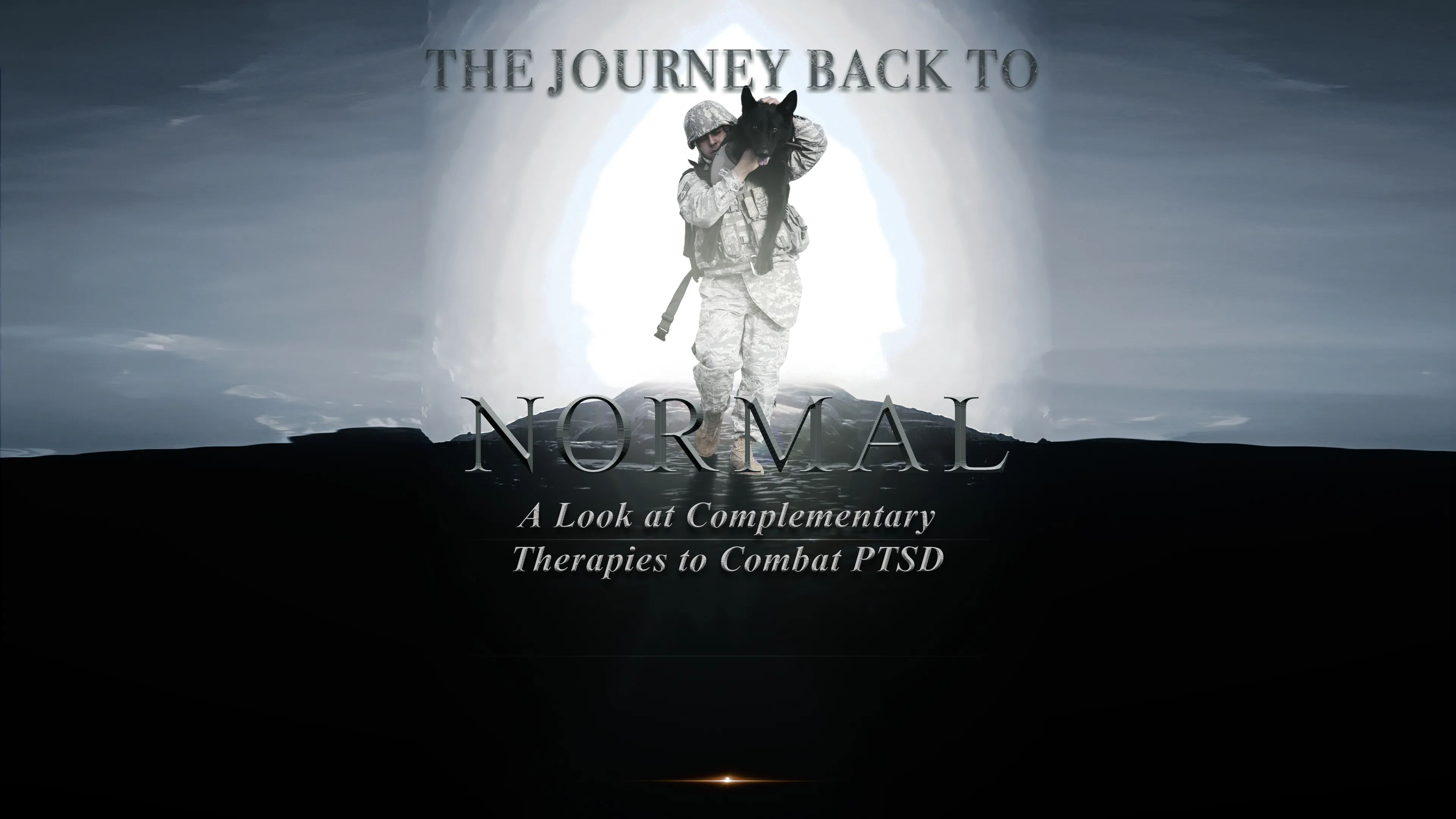 The Journey Back to Normal: A Look at Complementary Therapies to Combat PTSD poster